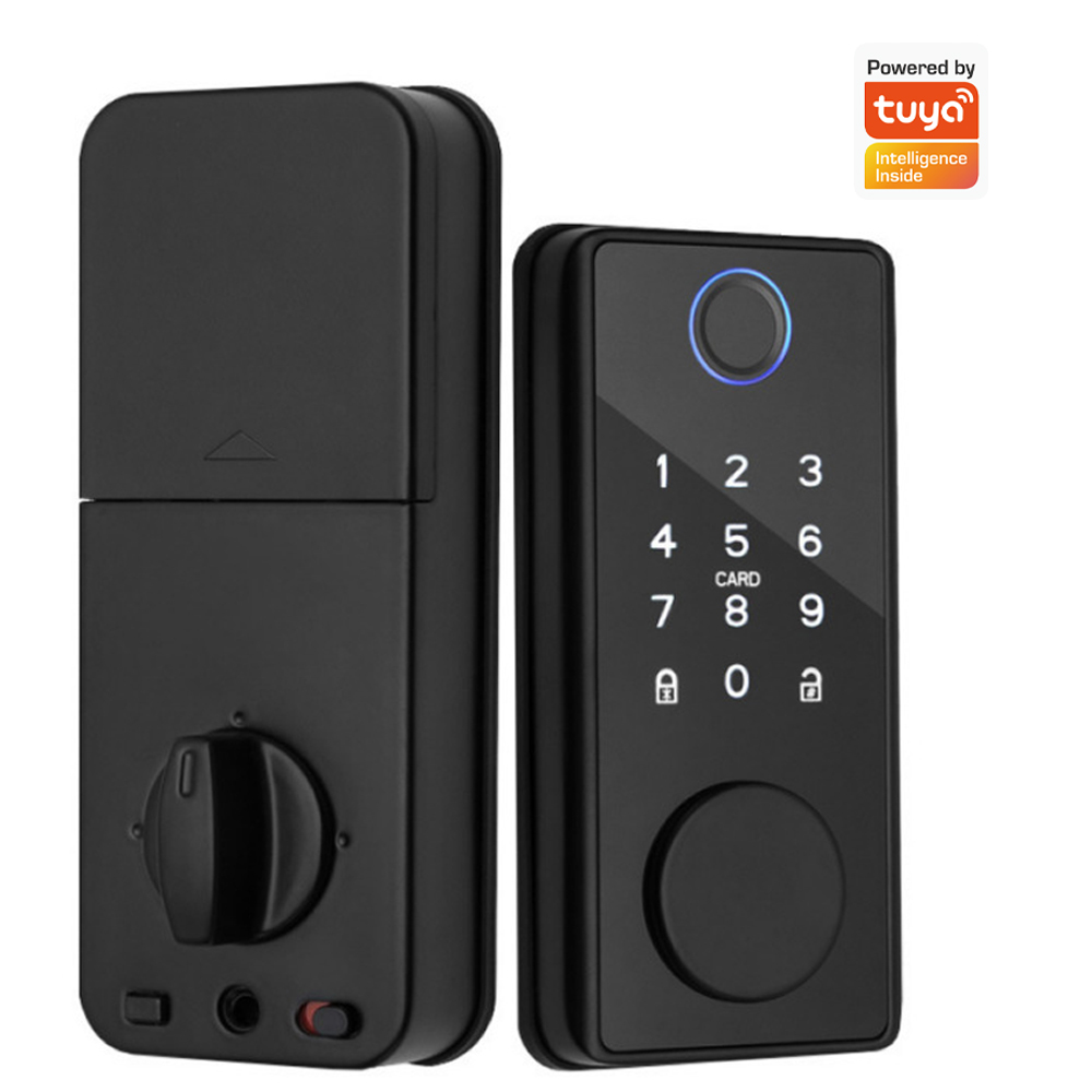 Ondersteunt Tuya-app, afstands - Smart Door Lock Wifi recensie en prijs